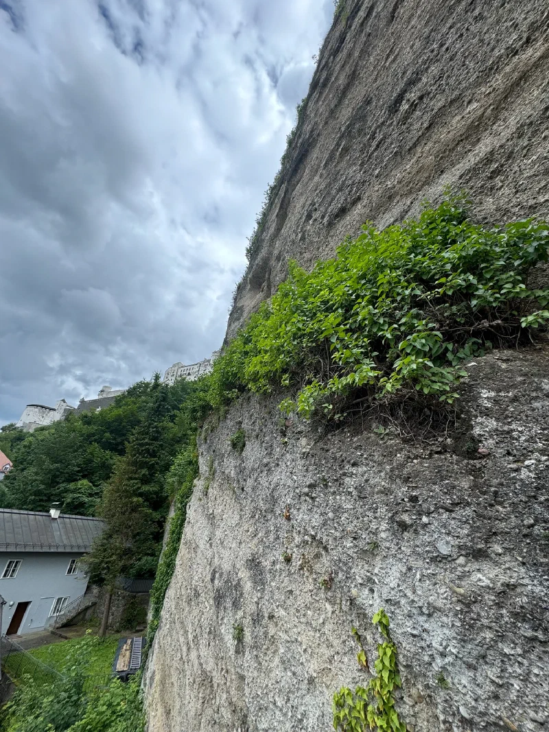 Mönchsberg cliff face