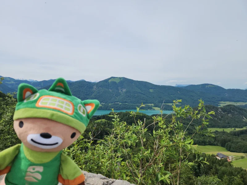 Sumi Bear placed at the lookout rim overlooking a turquoise lake and mountains
