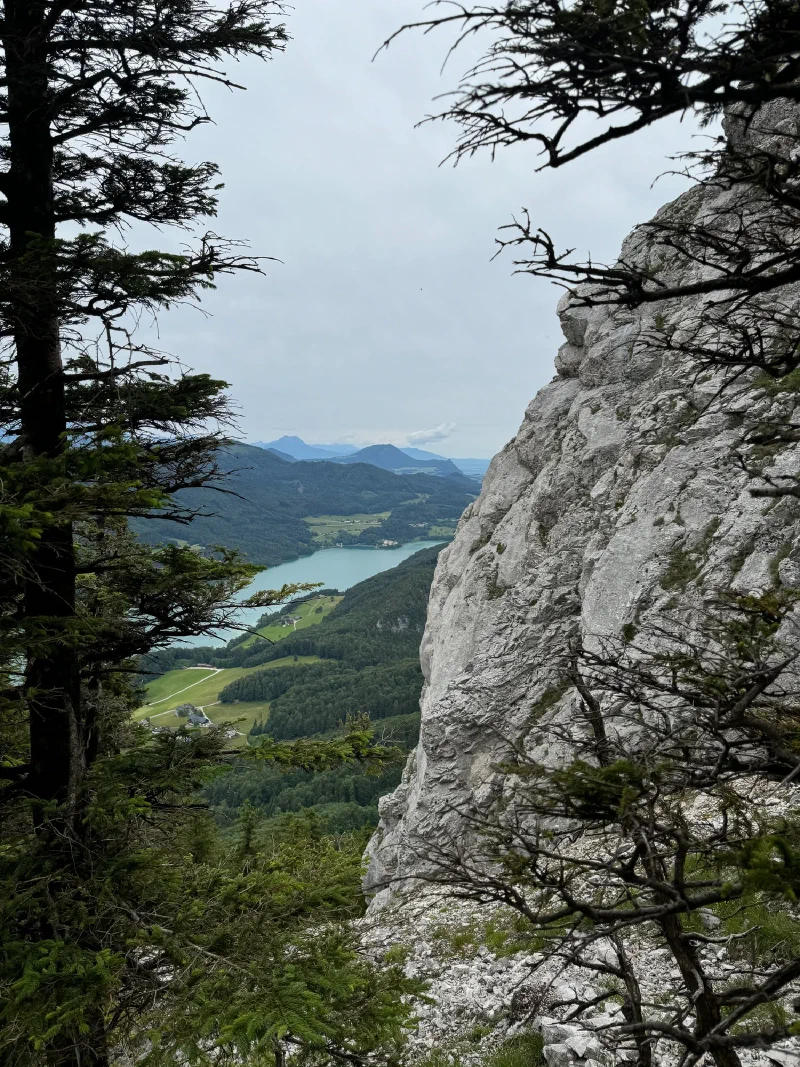 Limestone scramble route with turquoise lake visible through trees