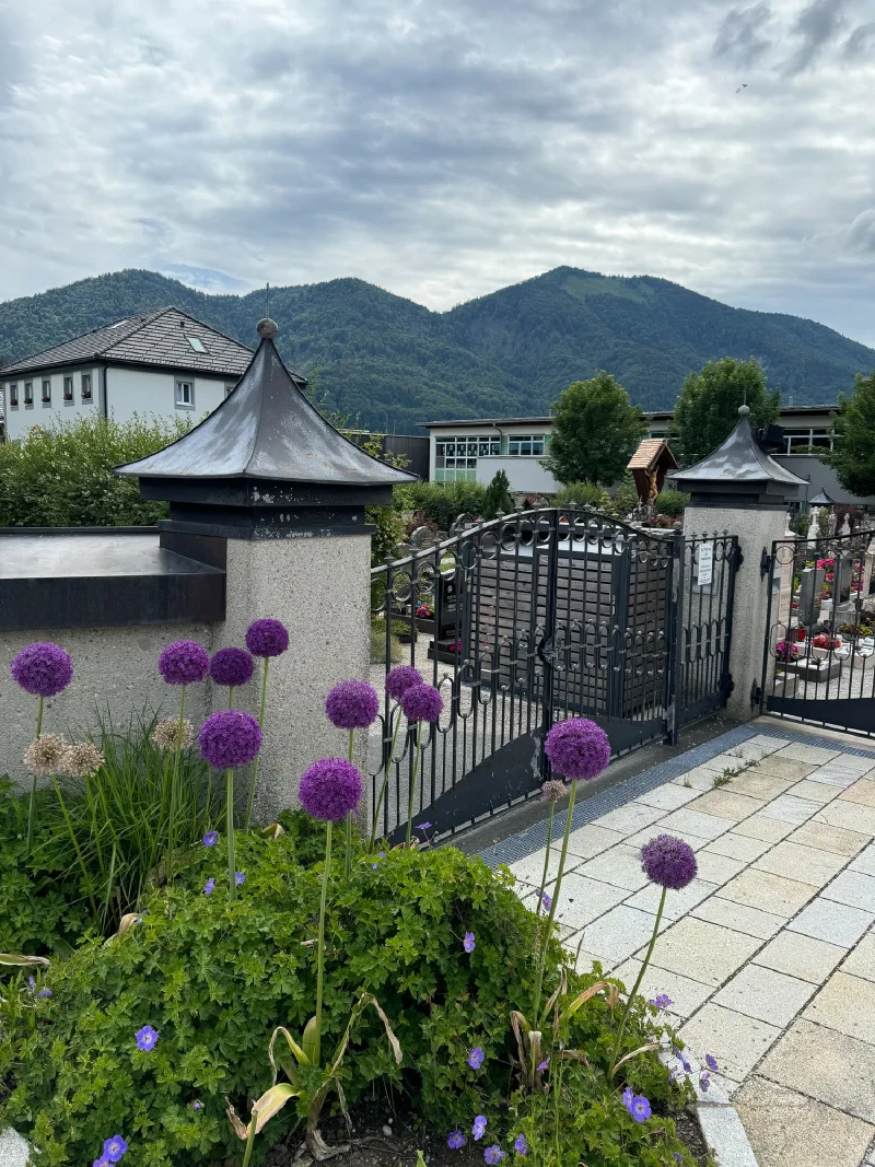 Lakeside rest with Sumi in foreground and forested mountains behind