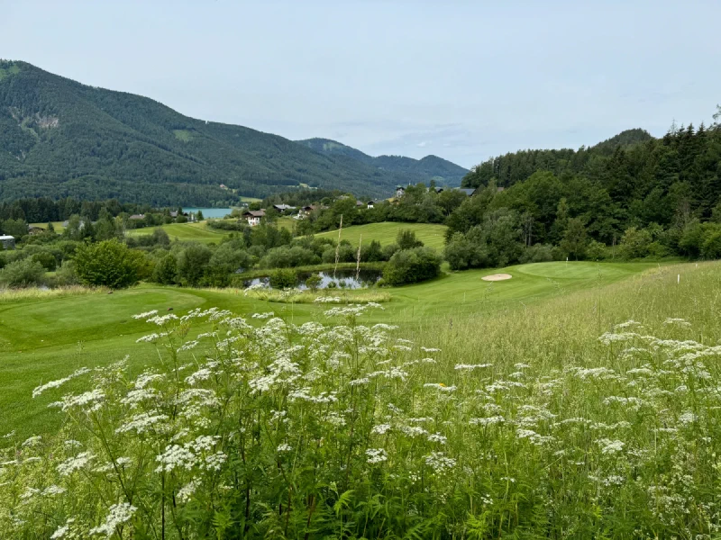 Open hillside view over countryside with golf course, meadows, and distant lake