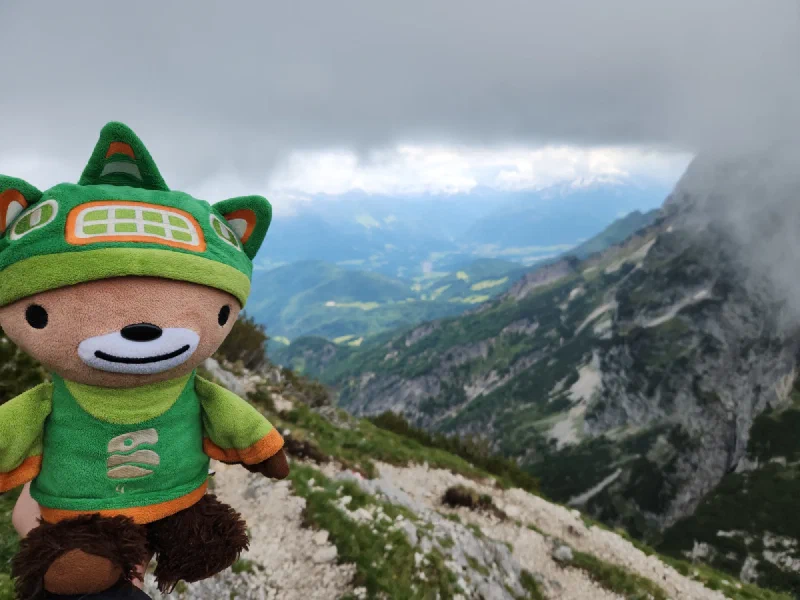 Sumi Bear on the alpine edge with valley below and clouds rolling in