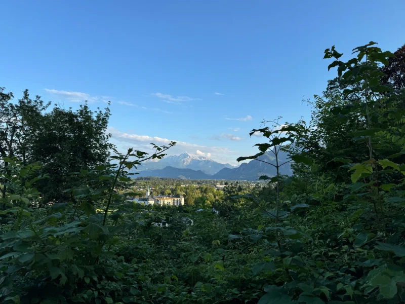 View through greenery toward Salzburg and distant Alps