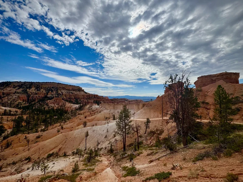 Wide canyon vista with dramatic sky
