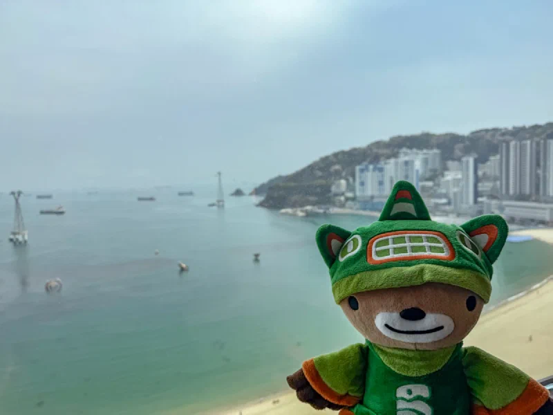 Sumi overlooking Busan's coastline