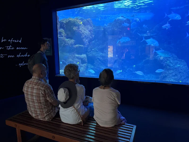 Group watching fish at the Maui Ocean Center aquarium