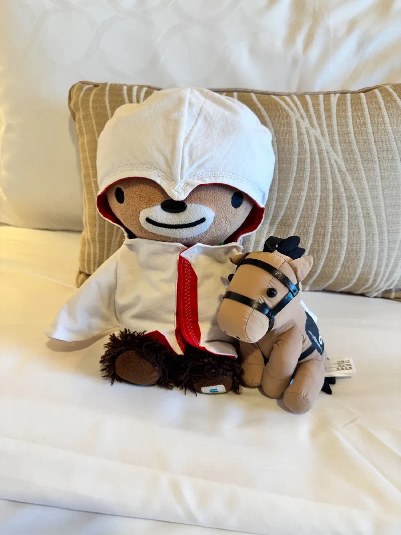 Sumi and Chestnut sitting on the cruise cabin bed