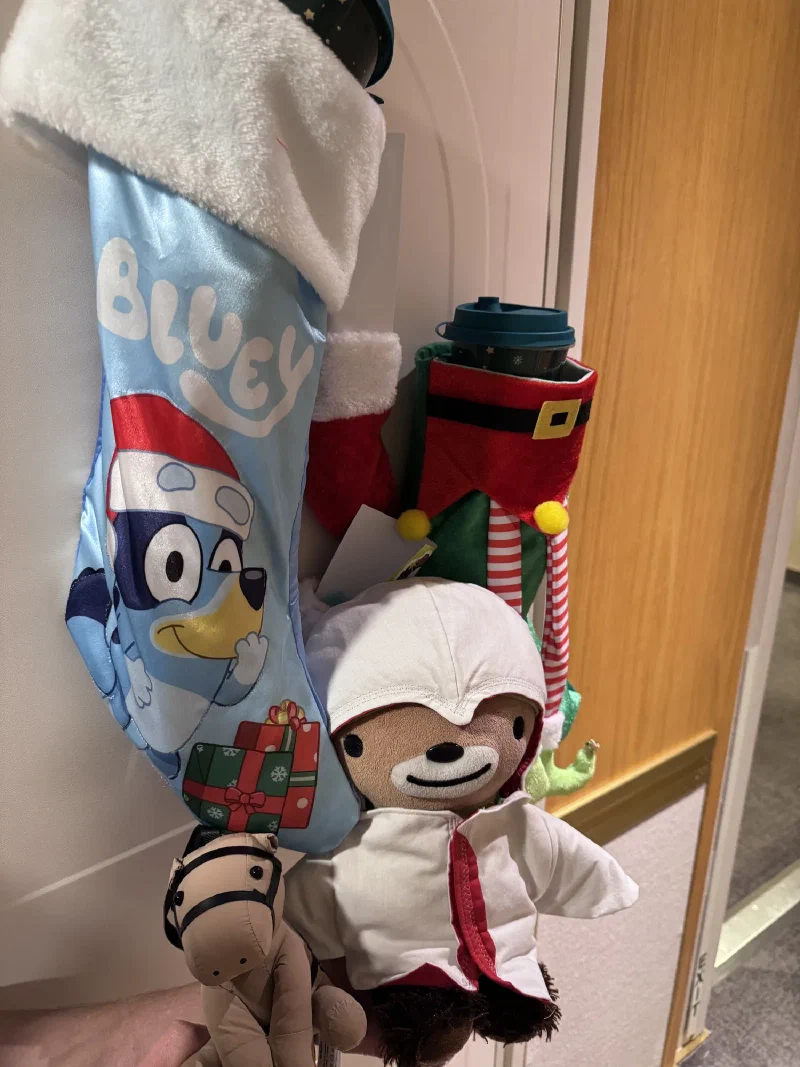 Cruise cabin door with Bluey stocking, Sumi in white hoodie, and Chestnut peeking out