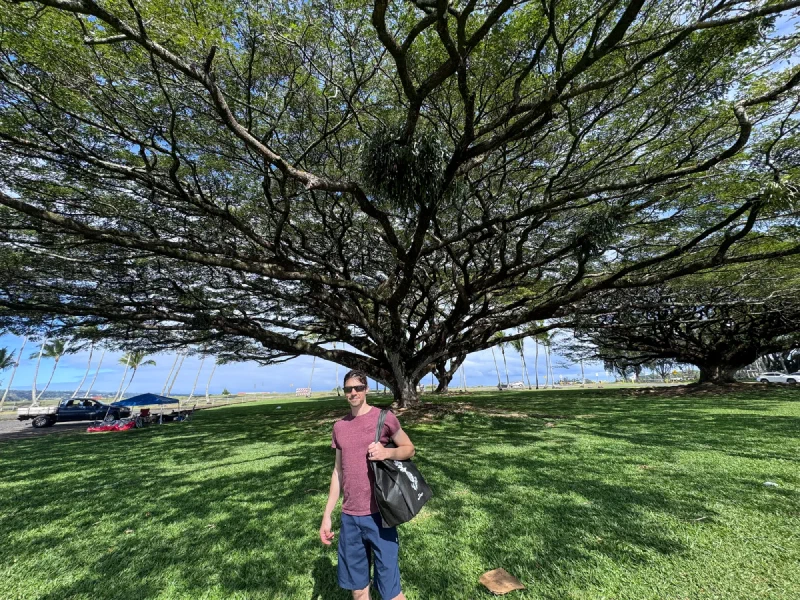 Nicholas under a massive tree in Hilo