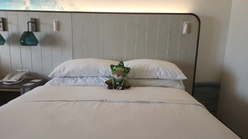 Sumi tucked into the hotel bed