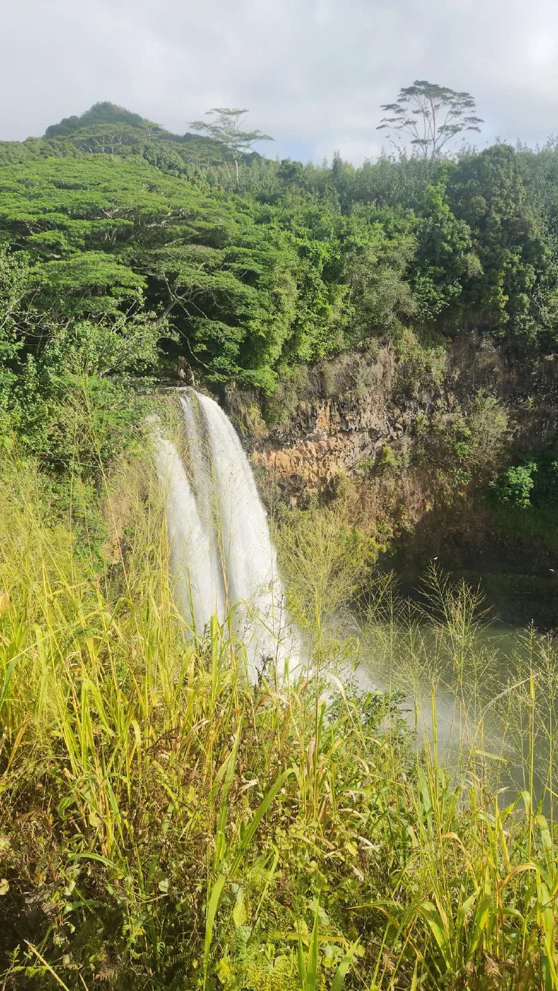 A twin waterfall cascading down a cliff
