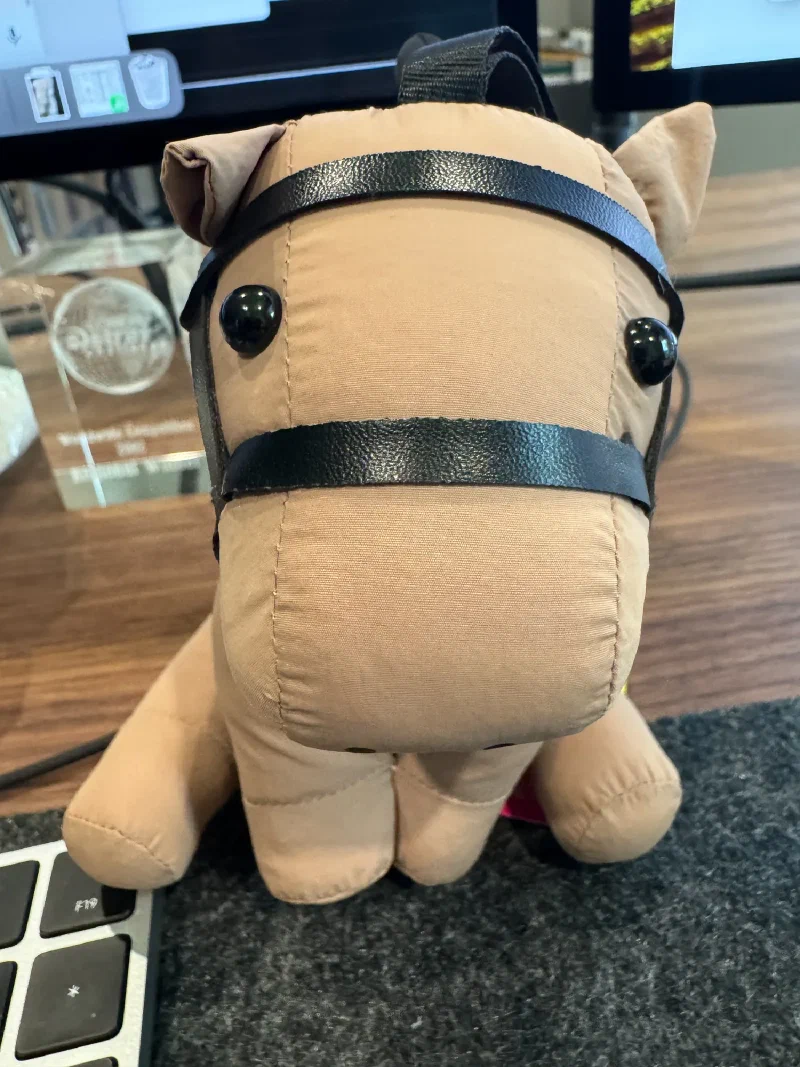 Close-up of Chestnut's face on Pokin's desk