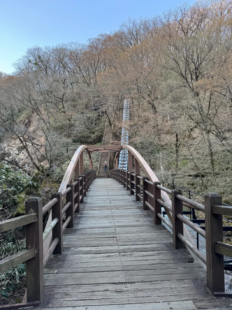 Bridge across a valley with a staircase climbing into the forest beyond