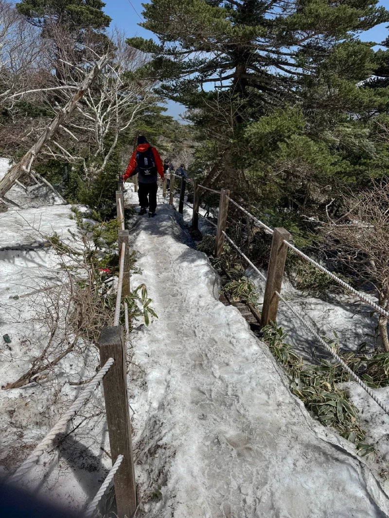 Snow and ice covered trail through the forest