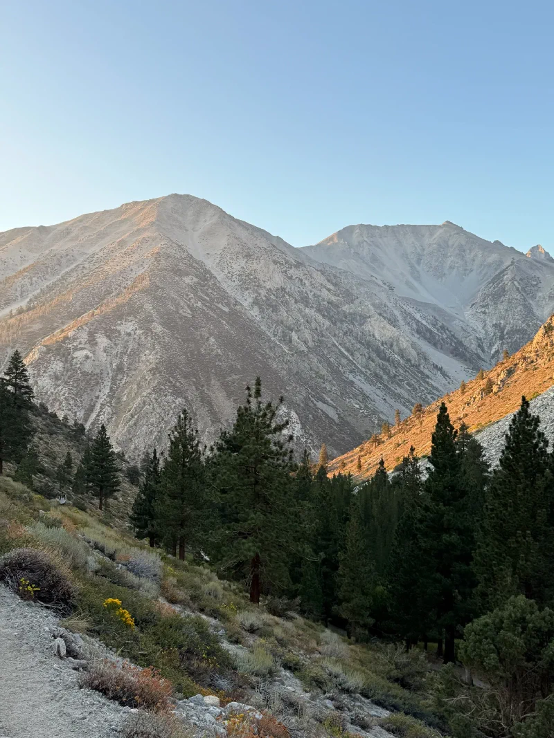 Alpenglow on Sierra peaks from the trail