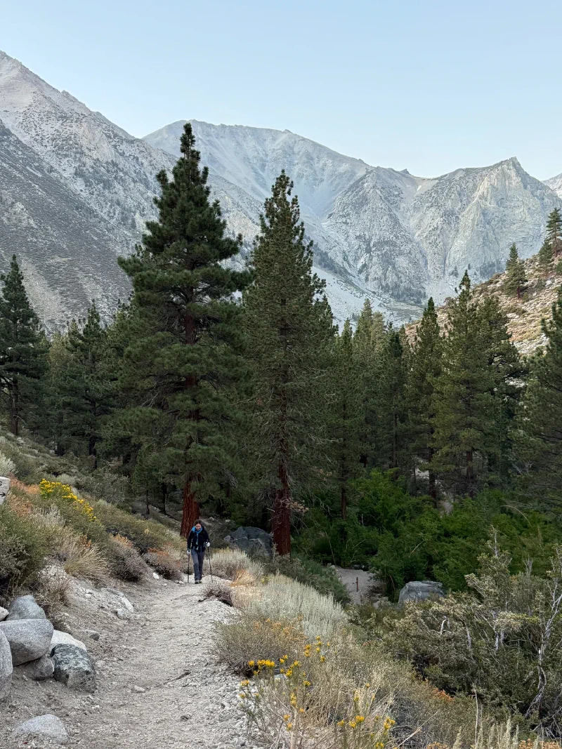 Pokin hiking up the trail with mountains behind