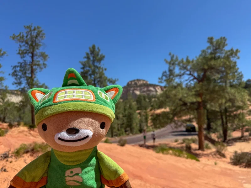 Sumi on red sandstone