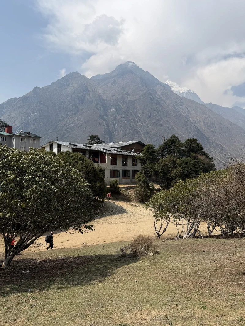 A lodge nestled among trees with a massive craggy mountain peak looming behind it