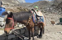 Nepal