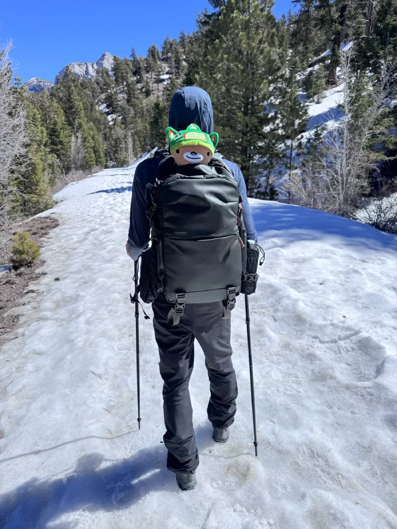 Sumi Bear riding on top of a Shimoda backpack on a snowy mountain trail
