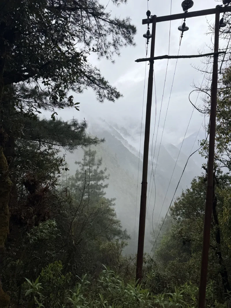 A misty slope seen through utility poles, sky completely gray