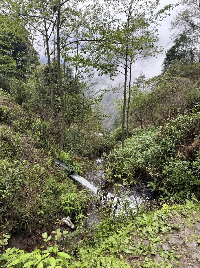 A muddy section of trail with a small drainage stream, gray skies above
