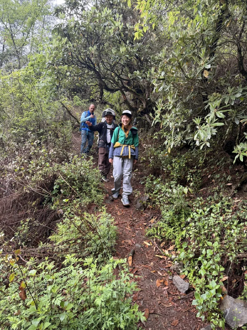 A rugged dirt trail through forest, hikers descending under gray skies