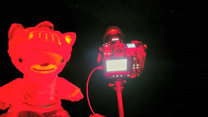 Sumi and camera on tripod under red headlamp glow