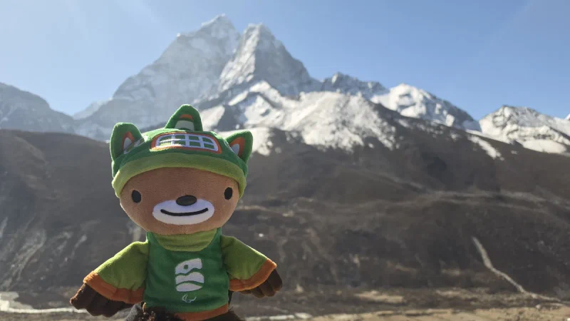 Close-up of Sumi with Ama Dablam blurred in background