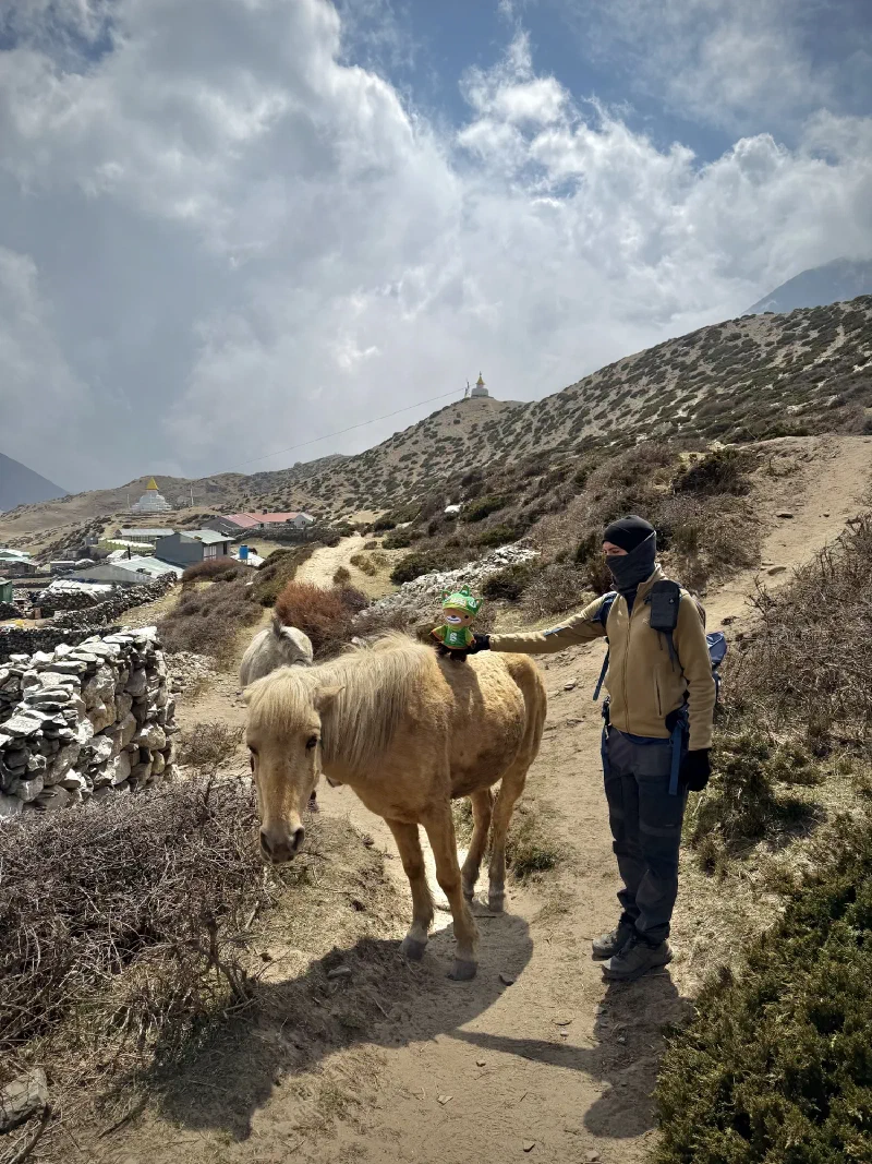 Nicholas helping Sumi onto a horse on a trail overlooking Dingboche
