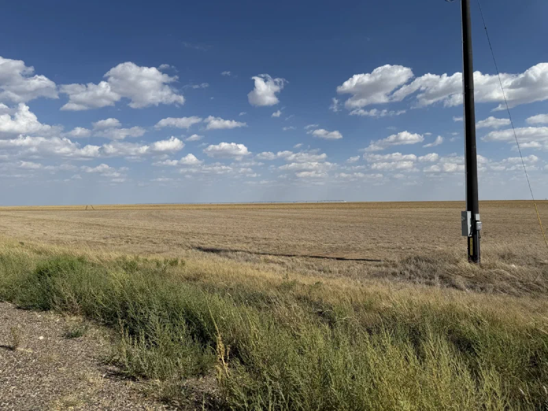 Dry scrub in the foreground giving way to a huge flat tan field stretching to the horizon under a sky full of small puffy clouds