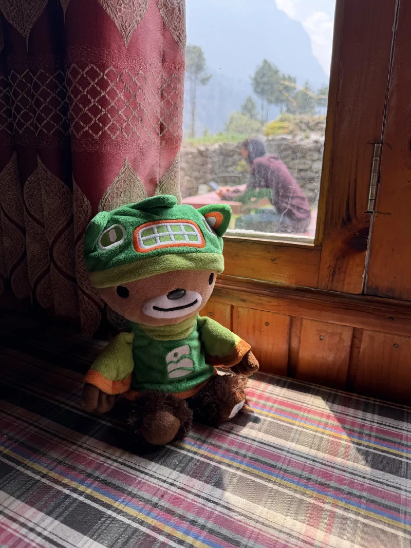 Sumi the spirit bear sitting on a plaid bench by a window at the lodge in Phakding
