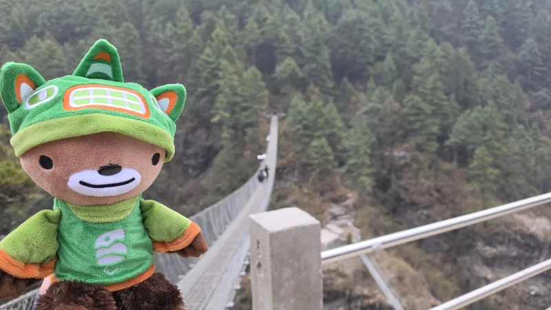 Sumi Bear held up with the Hillary Suspension Bridge stretching across the gorge behind