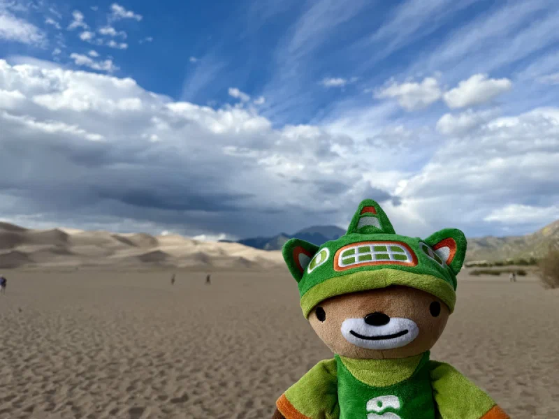 Sumi large in the foreground with the dunefield and dark storm cloud stretching out behind him