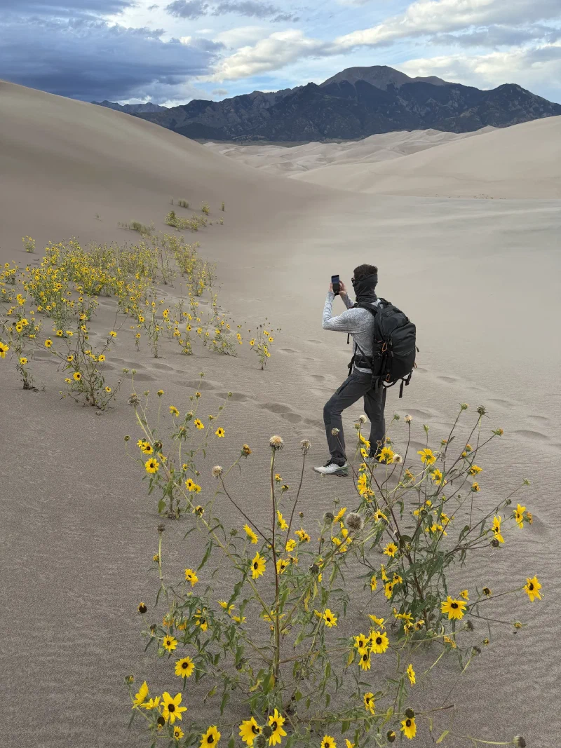 Nicholas photographing with his phone on a dune slope covered in yellow sunflowers, mountains behind