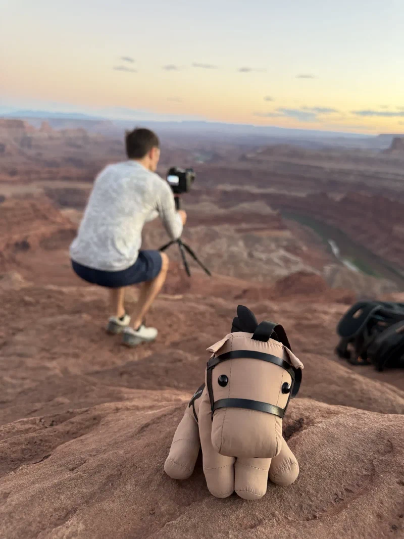 Chestnut the toy horse in the foreground watching Nicholas crouched over a camera on a tripod