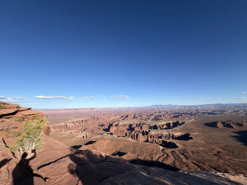 Wide view over layered canyons stretching to the horizon from Grand View Point
