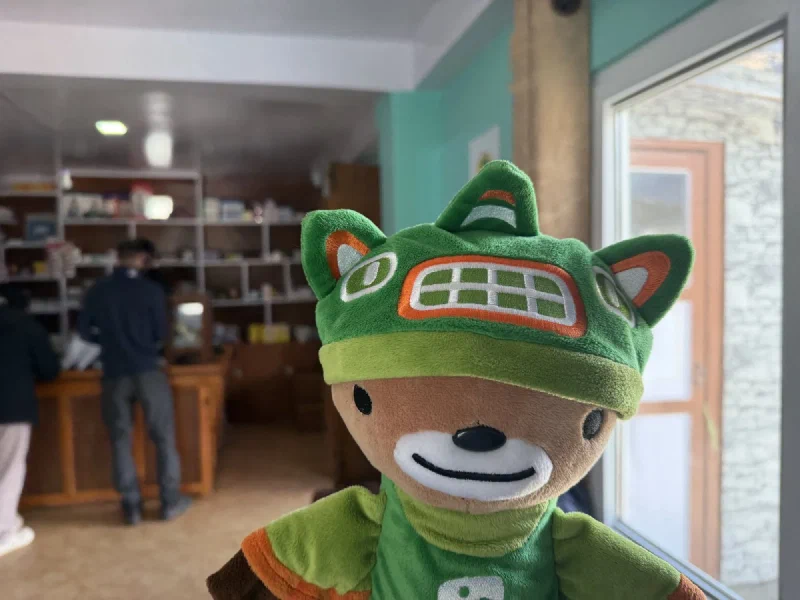 Sumi Bear in foreground with pharmacy dispensary shelves behind