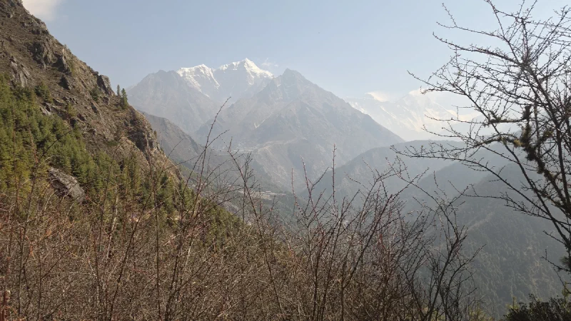 Mountain view through bare branches
