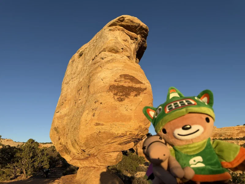 Miracle Rock towering against deep blue sky with Sumi and Chestnut held up in the foreground