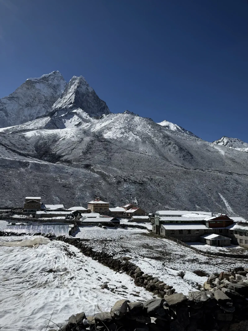 Stone walls dividing fields with snow-capped mountains beyond