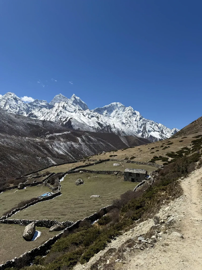 Stone walls and fields in the high Khumbu valley