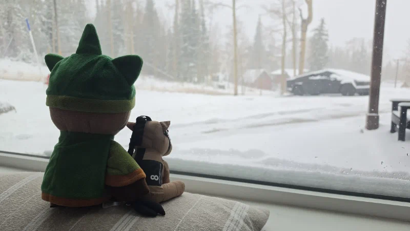 Sumi and Chestnut watching snow from the cabin window