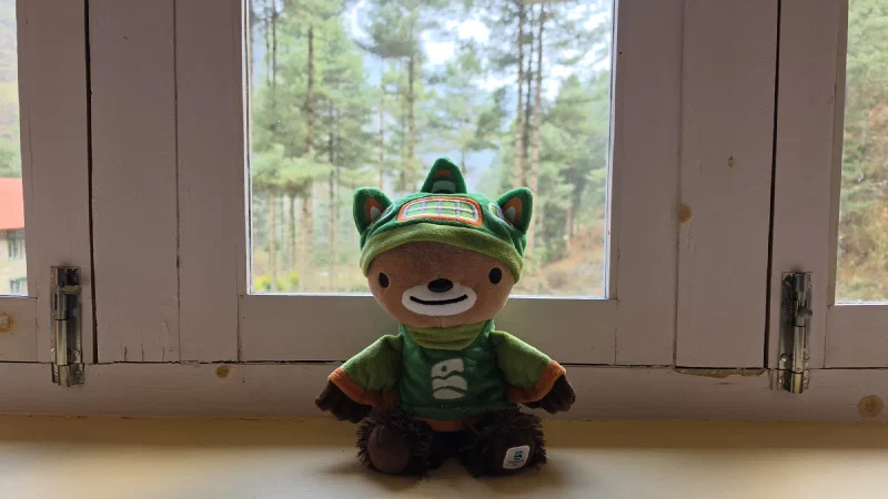 Sumi on a windowsill looking out at the morning in Phakding