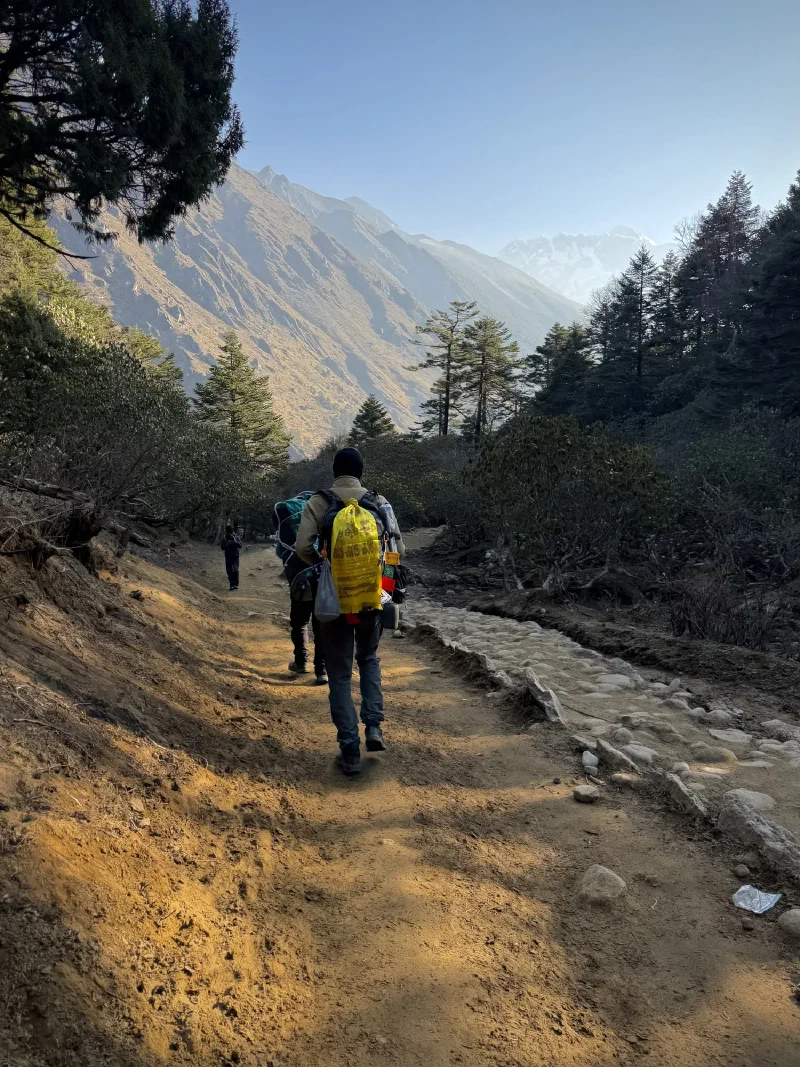 Hiking out of Tengboche on a forested trail