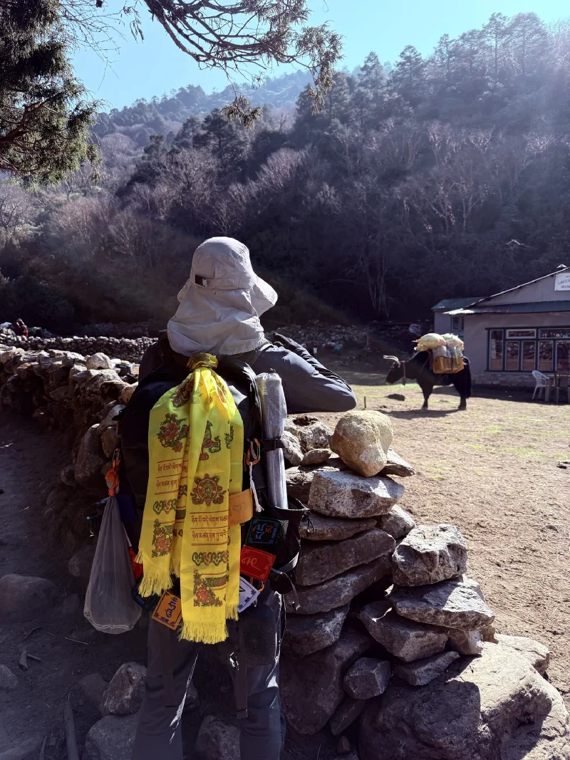 Nicholas photographing a yak over a stone wall