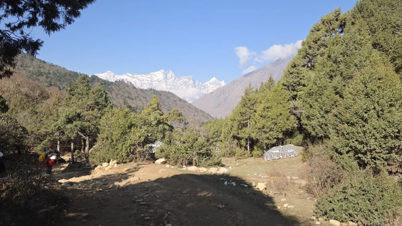 Trail through forest with mani stone and snowy peaks