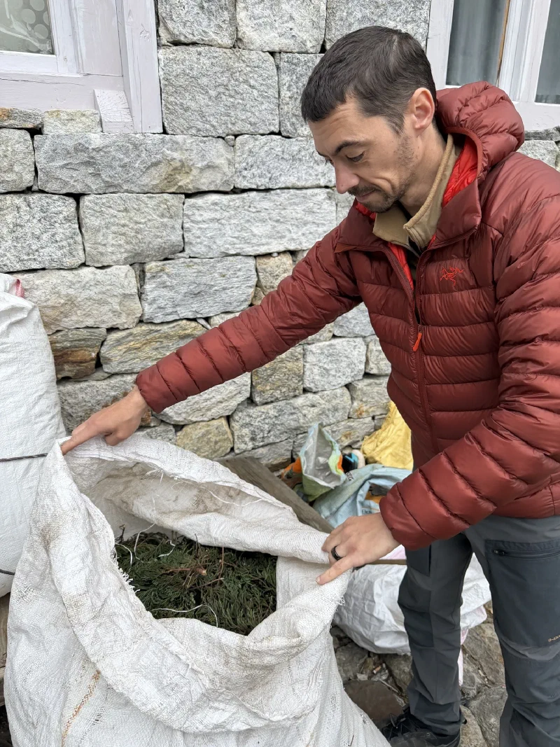 Nicholas leaning into one of the white sacks, revealing it is full of green leafy branches