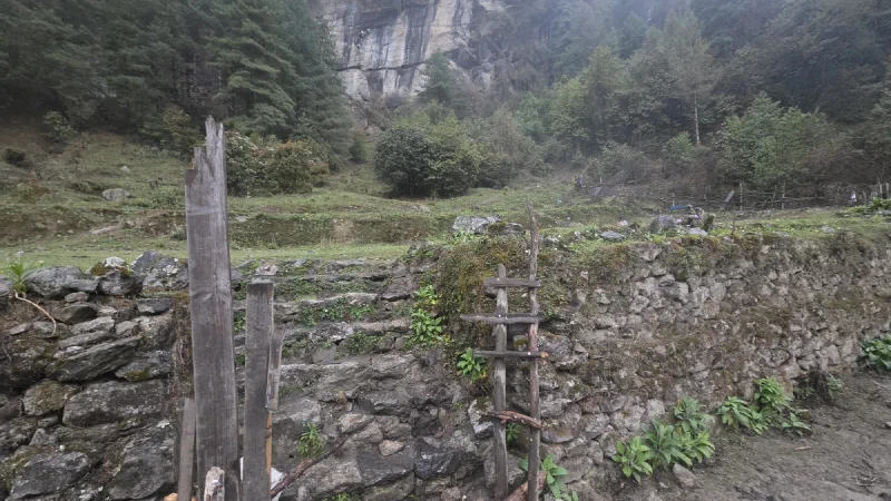 Terraced farm plots with handmade wooden ladder and branch fences on a hillside, cliff face in background