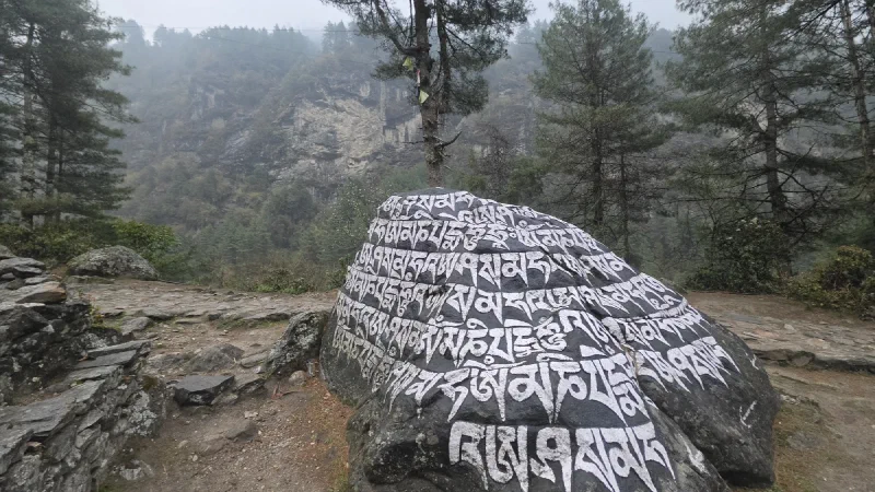 A large dark boulder carved with white Tibetan script and prayer flags in a misty forest clearing